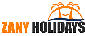 zany holidays