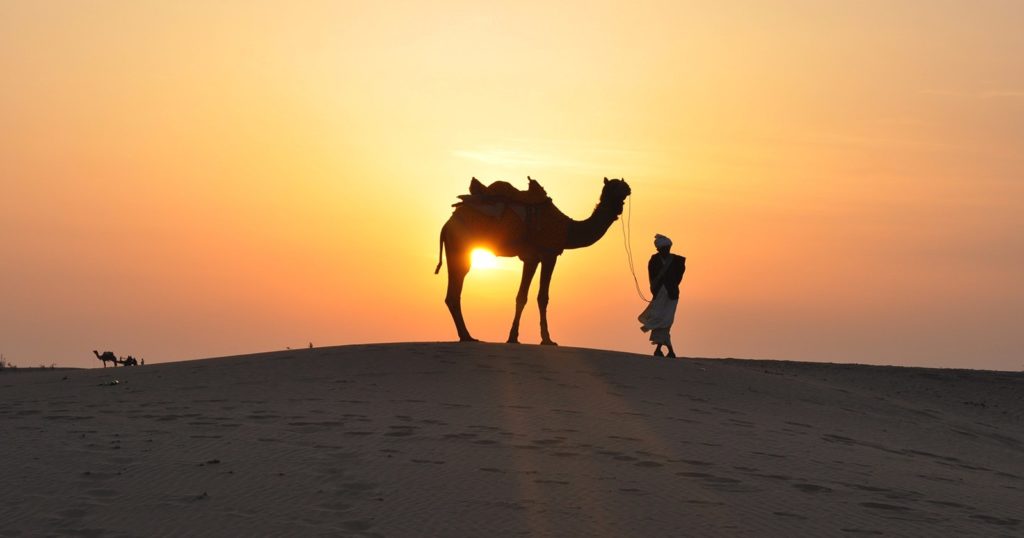 Where to Enjoy Desert and Camel