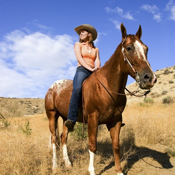 Try Out Some Guided Horseback Riding in Utah.