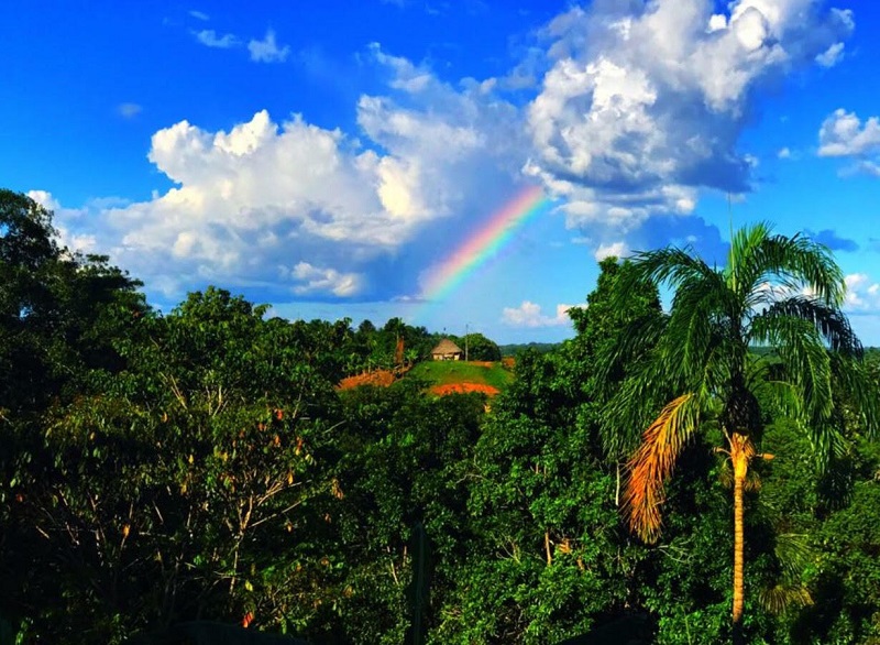 A bold look at the ayahuasca experience in the Amazonian Jungle