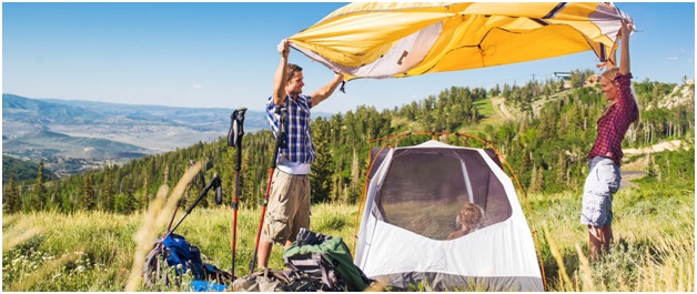 Kiwi Camping Is As Popular As Ever