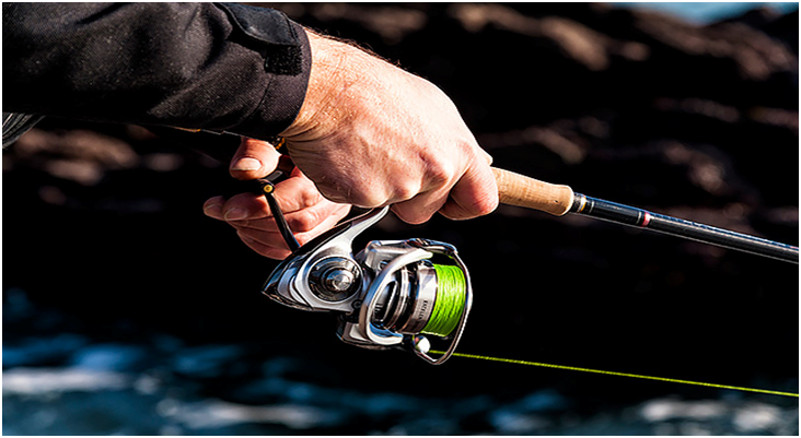 A Guide on Bass Spinning Reels