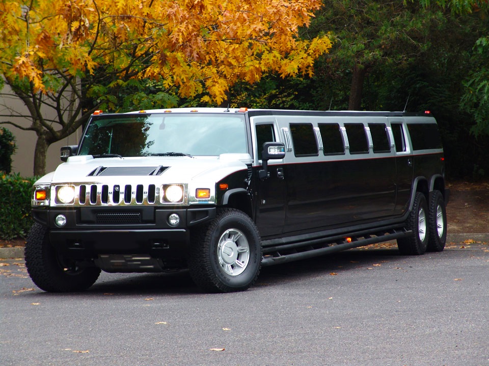 Know About The Limousine Tours Which Are Known As Wine Tours In Niagara