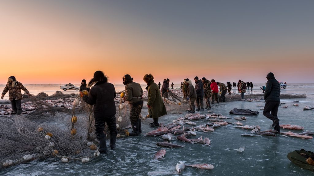 What Do You Need for Northern Pike Ice Fishing?