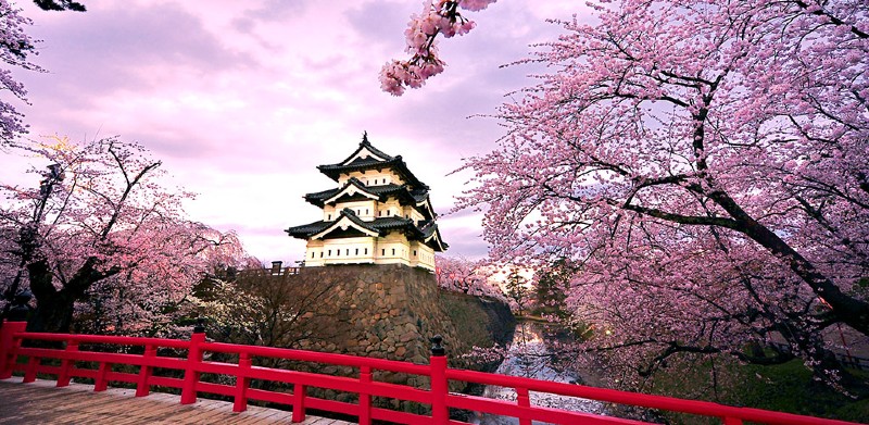 Great Deals With the Japan Family Tours