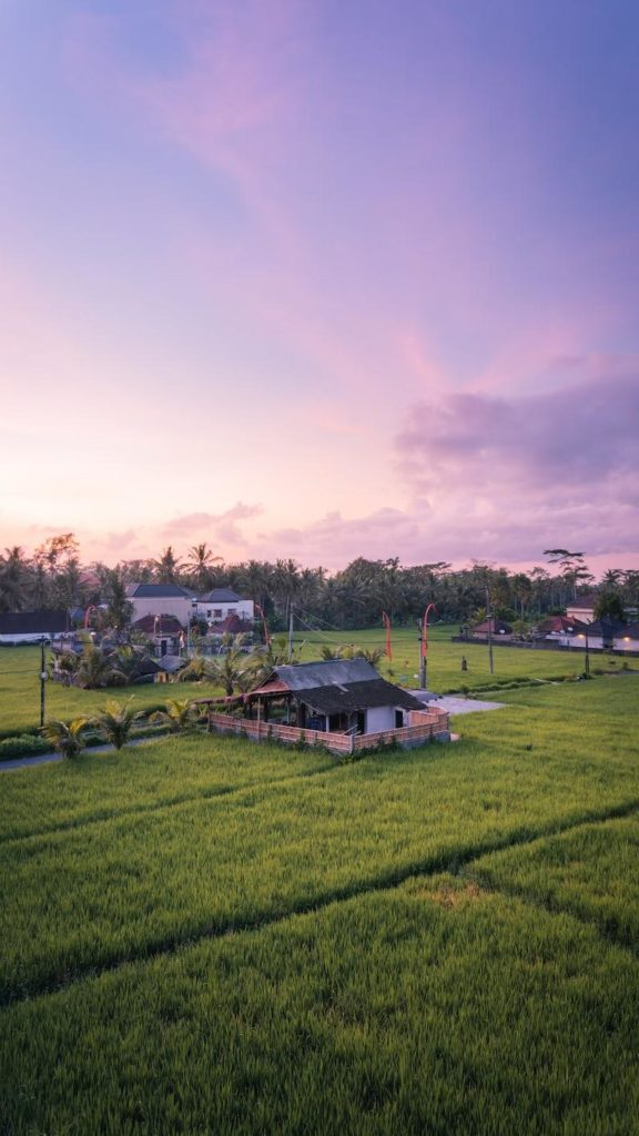 Beginner’s Guide to Ubud: Eat, Play, Stay in Bali Cultural Center