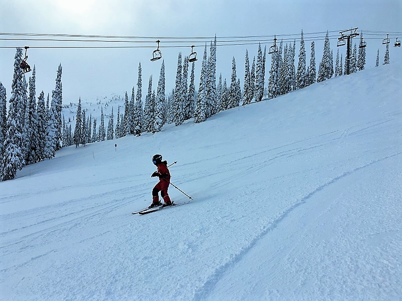 Top Reasons to Choose Fernie for Your Next Skiing Getaway