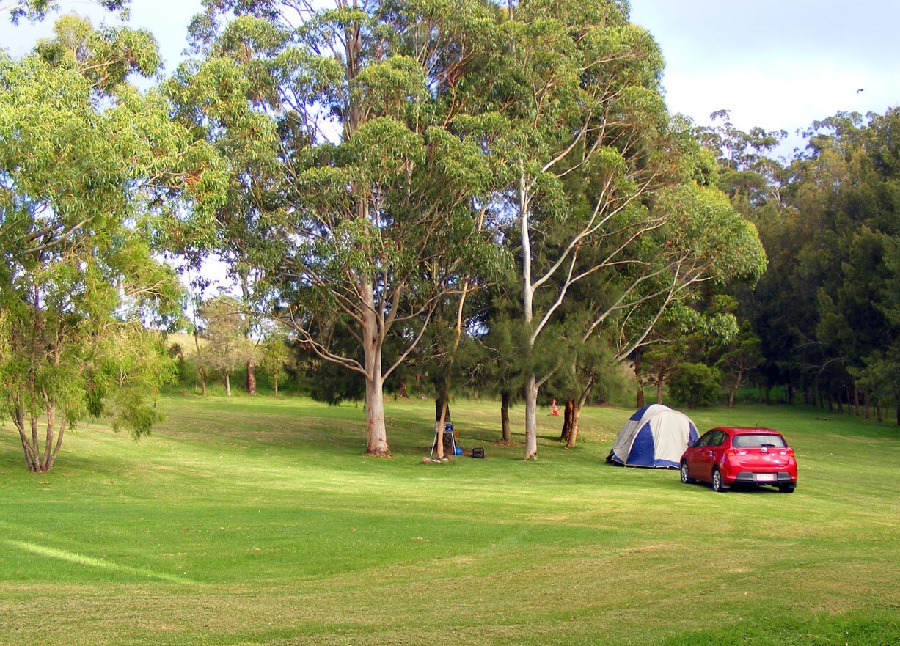 Discovering The Hidden Gem Of Emu Park