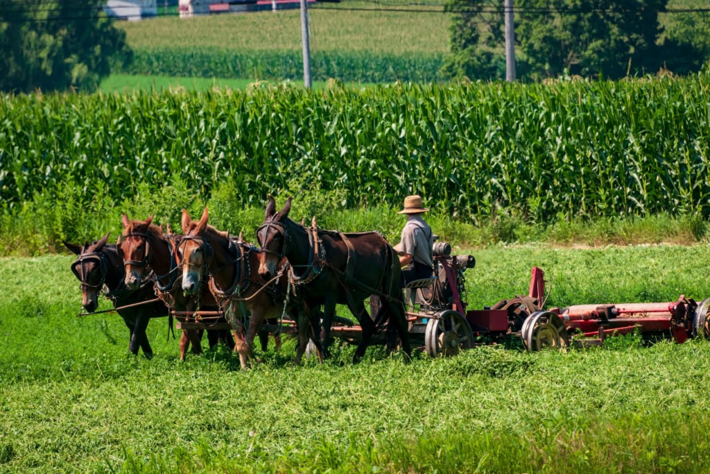 Journey Through Time: Why You Must Experience an Enchanting Amish Tour