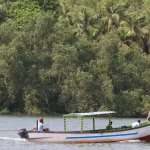Periyar Tiger Reserve Guide: Boat Safaris and Forest Trails