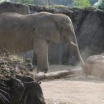 Island Nature Visits Bringing Travelers Closer To Respectful Wildlife Encounters Naturally