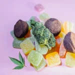 Hotel Room Storage: Keeping Edibles Stable in Transit