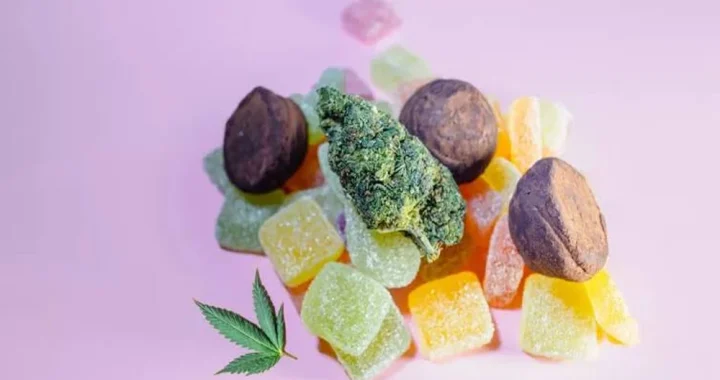 Hotel Room Storage: Keeping Edibles Stable in Transit