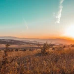Into the Wild: What Makes an African Safari Difficult to Forget