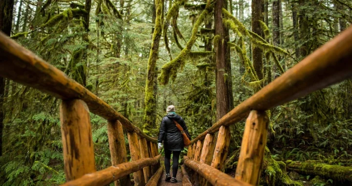 Urban Exploration: Adventure Sports to Try in the City